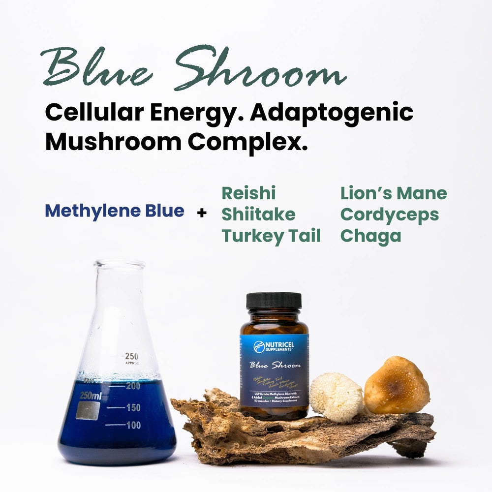 Nutricel Chaga mushroom extract capsule conveys wellness during the day