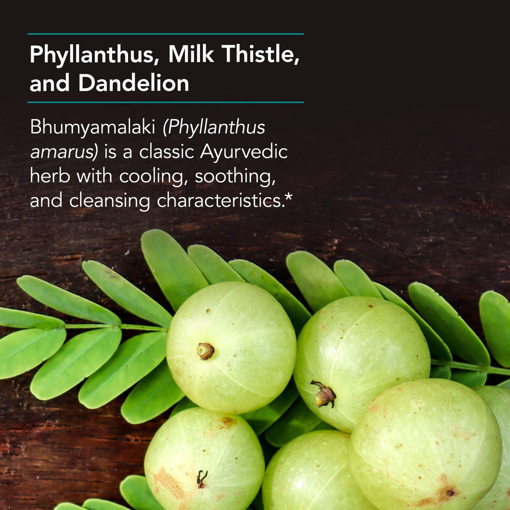 Packaging label of Nutricology Phyllantus Complex emphasizing quality ingredients.