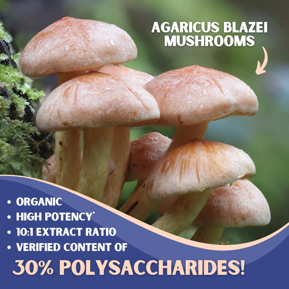 Nutriheim Agaricus Blazei 10-to-1 extract label emphasizes potency and polysaccharides