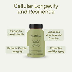 Fortify15 capsules close-up reveals smooth texture ideal for easy swallowing.
