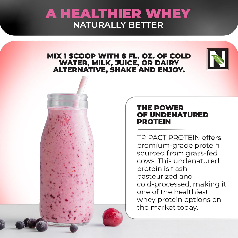 Nutrology TRIPACT protein powder tub green blend close-up highlighting greens and textures.