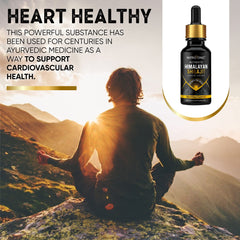 NutroTonic fulvic and humic content emphasis in premium Shilajit drops