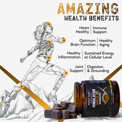 NutroTonic Shilajit Gummies closeup highlights texture and flavor notes
