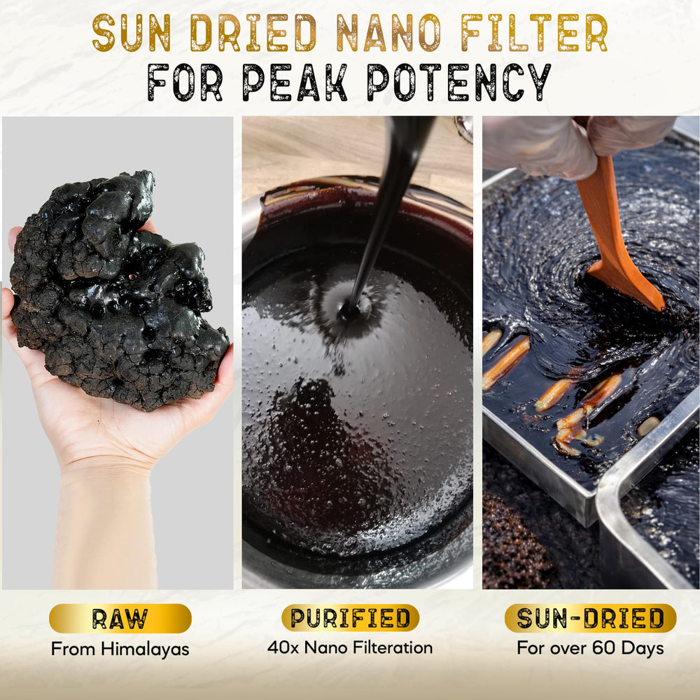 NutroTonic Shilajit resin nano-filtered processing for purity.