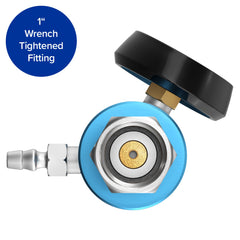 Nuvalsa ozone-stethoscope in-ear insufflator enables controlled ozone delivery