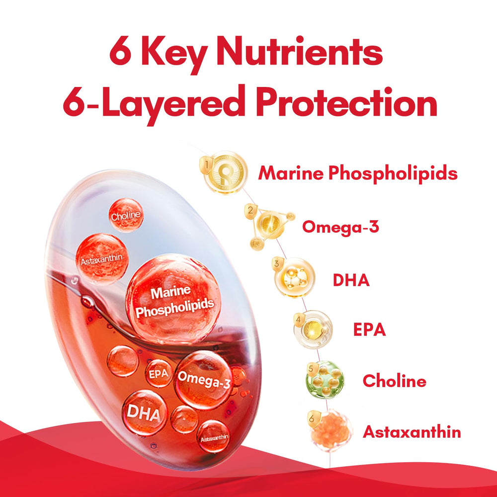 NYO3 Krill Oil choline boost illustration suggests brain-supportive nutrients.