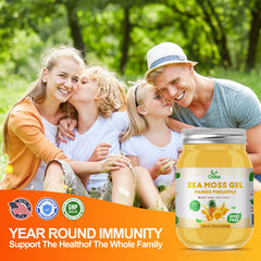 OALSE Sea Moss Gel product display—convenient daily nutrition.