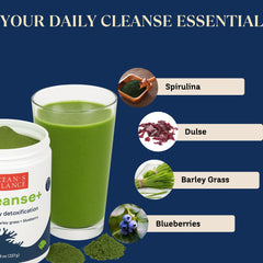 Ocean's Balance Seacleanse+ seaweed blend highlighting nutrient-rich greens for gut support.