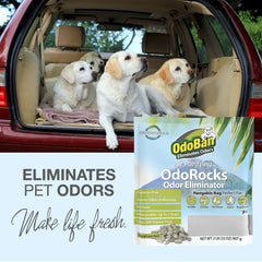 OdoRocks ideal for bathrooms and closets where moisture and odors meet.