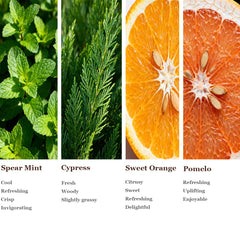 OFAK Sweet Orange core inhaler for uplifting mood and energy.