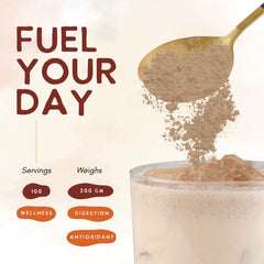Ohana Turkey Tail powder closeup reveals earthy texture ideal for smoothies.