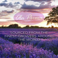 Ola Prima Orange Oil natural cleaner blend for sparkling surfaces