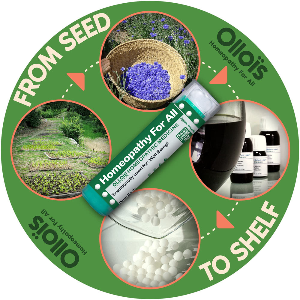 OLLOÏS Seed-to-Shelf process showcases in-house tinctures