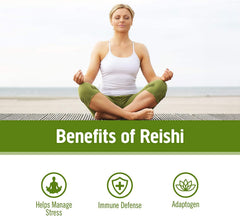 OM Mushroom Superfood Reishi capsules label detail with organic cues