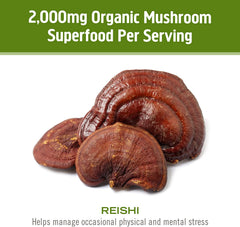 Reishi capsules on a kitchen shelf ready for daily routine