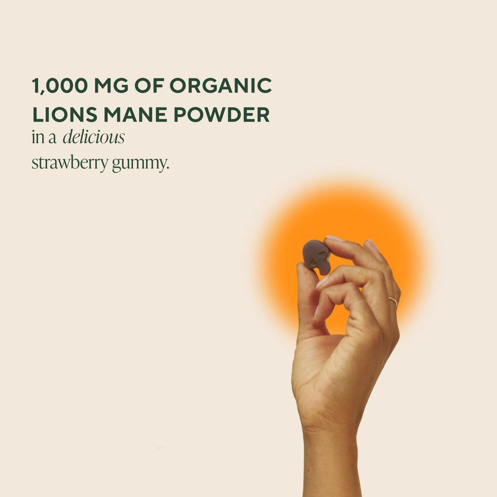 OM Mushroom Superfood Lion’s Mane Gummies bottle back with ingredients and organic certification.