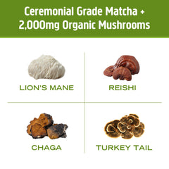 Closeup of Lions Mane in OM Mushroom Superfood Matcha Latte blend