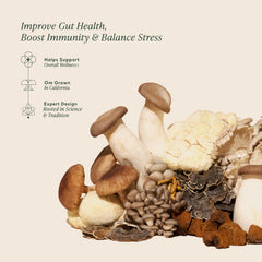 OM Mushrooms Master Blend in coffee mug illustrating versatile morning mix.