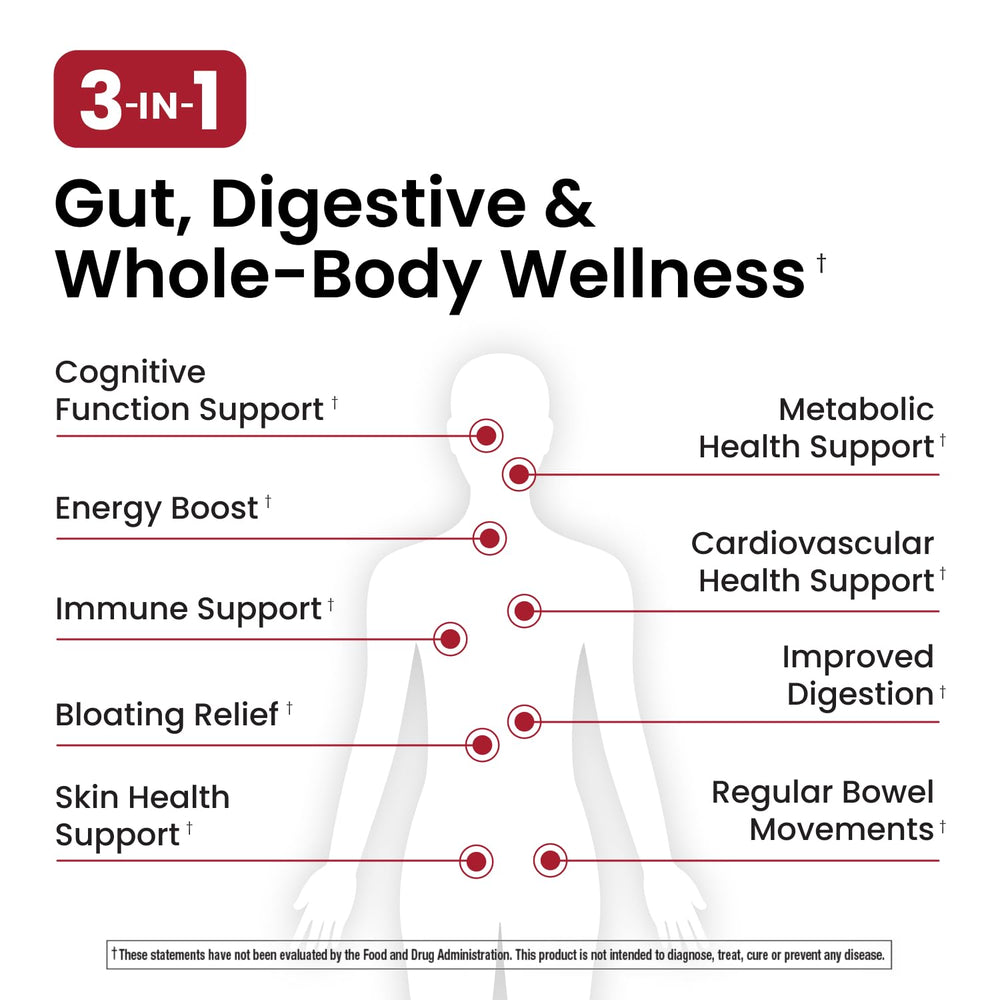 Ombre probiotic capsules for daily use supporting comfortable digestion and reduced bloating.
