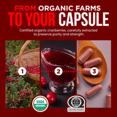 OmniBiotics cranberry-fruit-extract-visual with berries emphasizes antioxidant-inspired benefits.