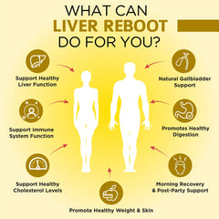 Artichoke extract visuals with OmniBiotics Liver Cleanse highlight advanced liver support