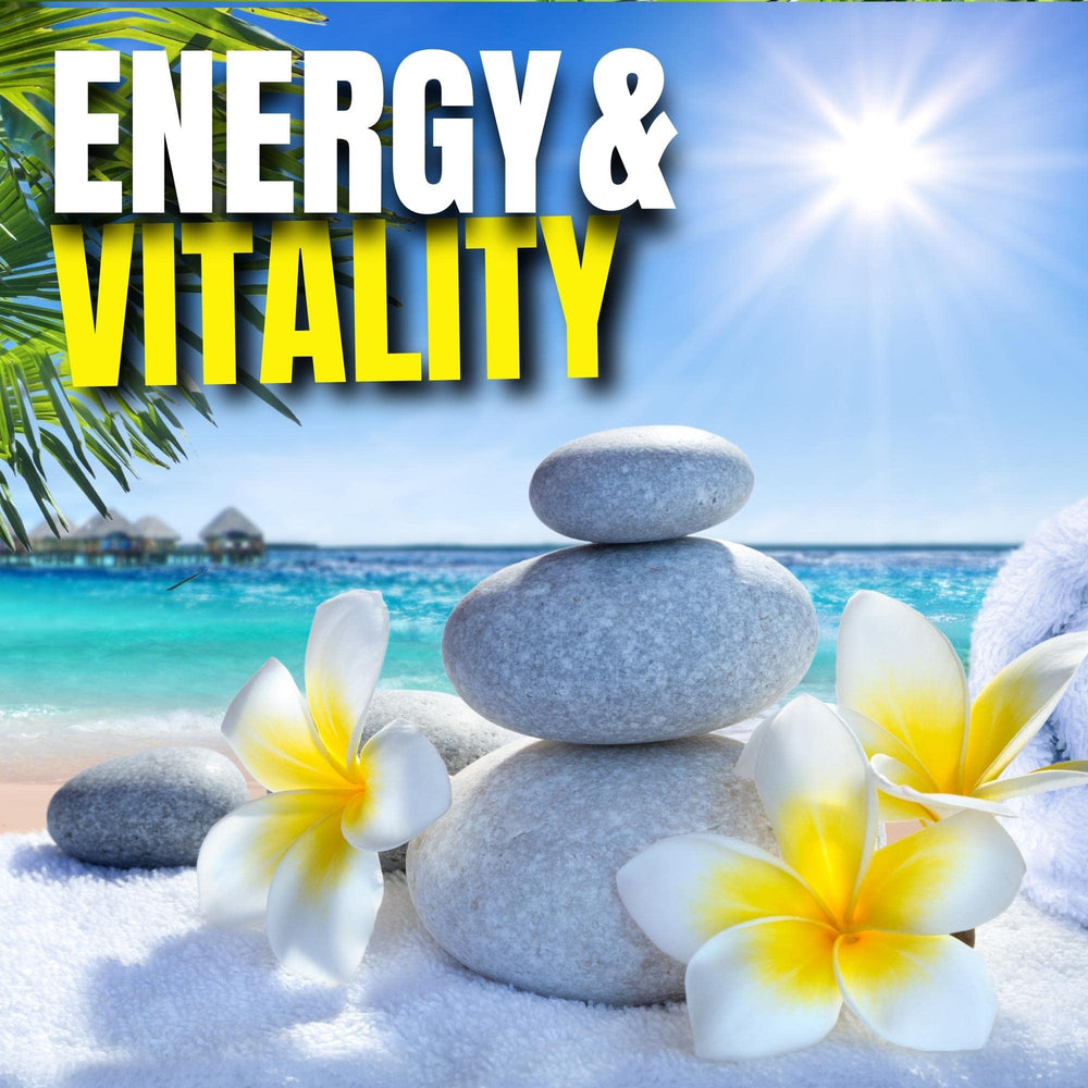 Omnitrition Charge Sugar Free Orange beverage bottle—stevia-sweetened option for energy.