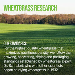 On Target Living Wheatgrass Tablets bottle detail showing label and quality seals.