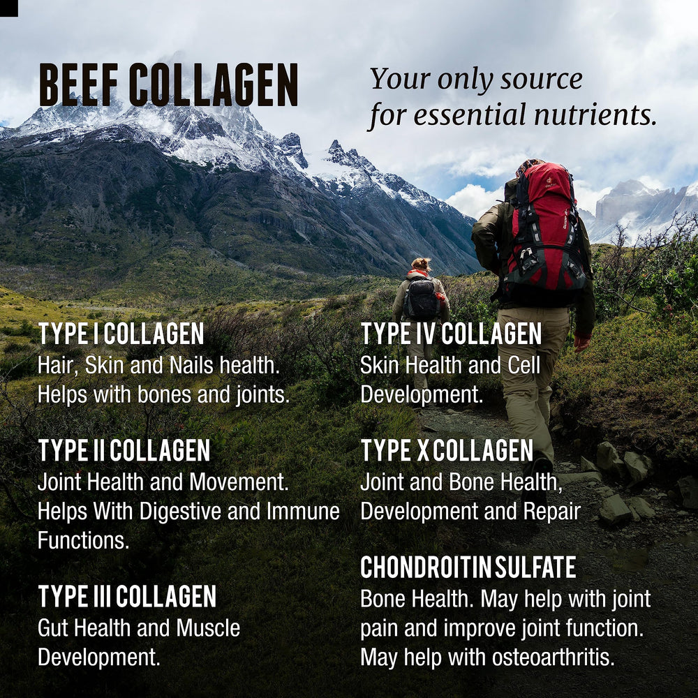 Freeze-dried collagen powder close-up.