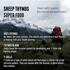 One Earth Health New Zealand pasture thymus pack — high-quality NZ sourcing.