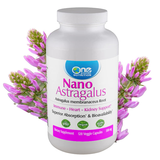One Planet Nutrition Nano Astragalus bottle ready for daily immune support.