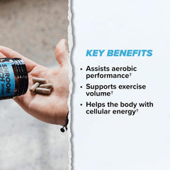 ONNIT bundle inside view reveals complete supplement set for daily routines.