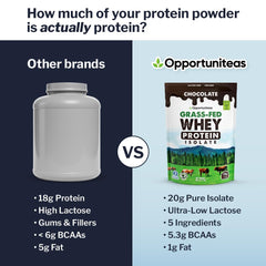 Organic cacao detail in Opportuniteas chocolate whey powder for rich flavor.