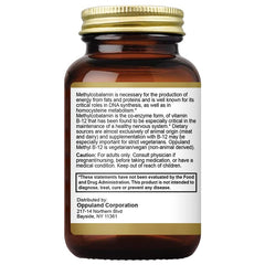 Oppuland Methyl B-12 foil packet highlighting portability