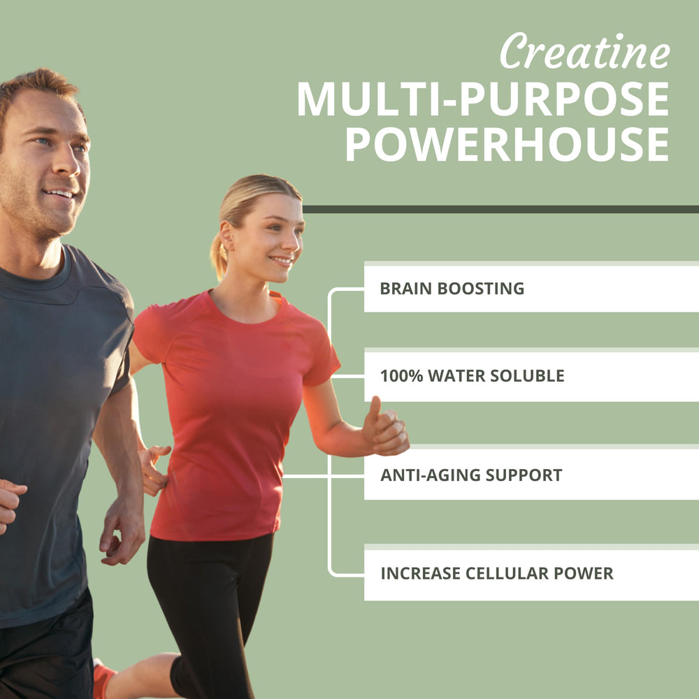 Optimal Health Systems Creatine scoop highlights precise serving for consistency
