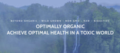 Recyclable packaging and glass bottle from Optimally Organic.