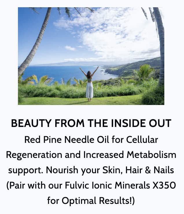 Optimally Organic Red Pine Needle Oil Caps capsule closeup emphasizing purity and potency