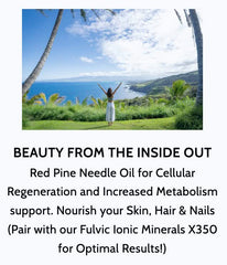 Optimally Organic Red Pine Needle Oil Caps capsule closeup emphasizing purity and potency