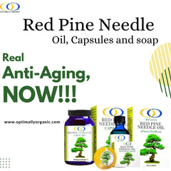 Optimally Organic Red Pine Needle Oil Caps sourced from DMZ region wild-harvest