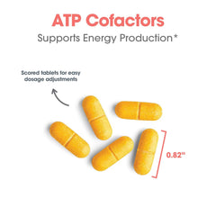 Optimox ATP Cofactors ingredient graphic illustrates vitamin B2 and B3 roles.
