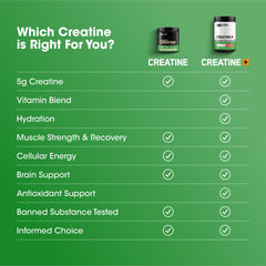 Optimum Nutrition Creatine Monohydrate Plus nutrition facts close-up.