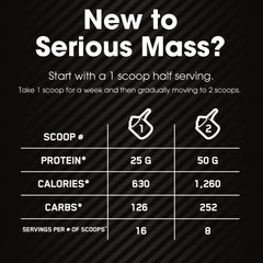 Optimum Nutrition Serious Mass provides carbohydrate-dense serving for energy during workouts.