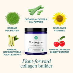 Ora Organic Aloe Gorgeous scoop in smoothie for convenient daily collagen support.