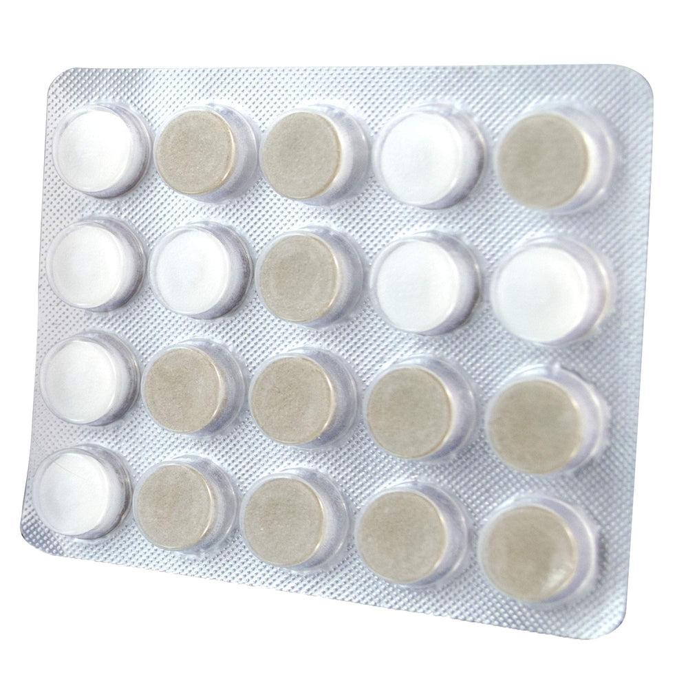 Oracoat XyliMelts dissolving mint disc shows slow, residue-free relief in action.