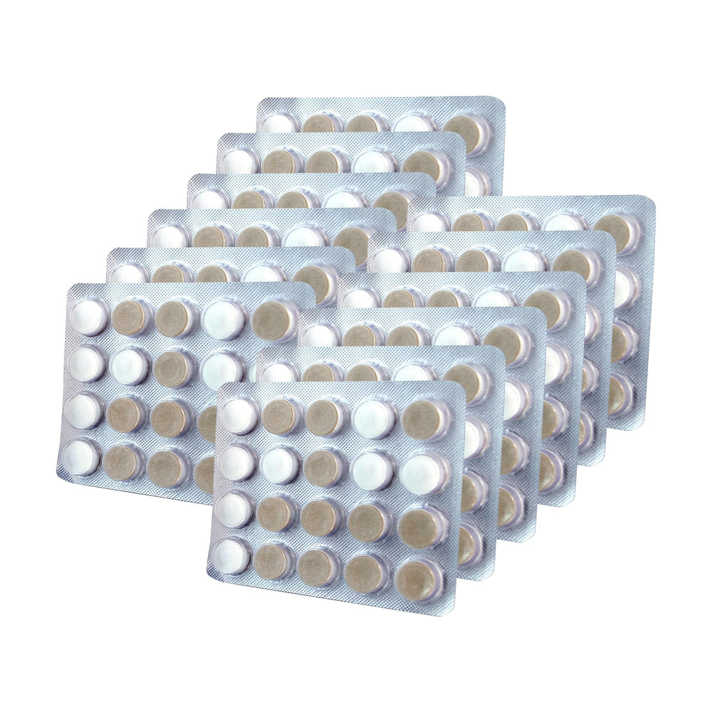 Oracoat XyliMelts xylitol formula image emphasizes sugar-free comfort