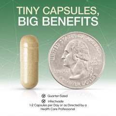 Oramune capsules in hand ready for daily use