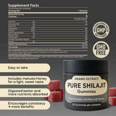 ORANIC EXTRACT Shilajit Gummies lifestyle shot on morning desk suggests daily energy support