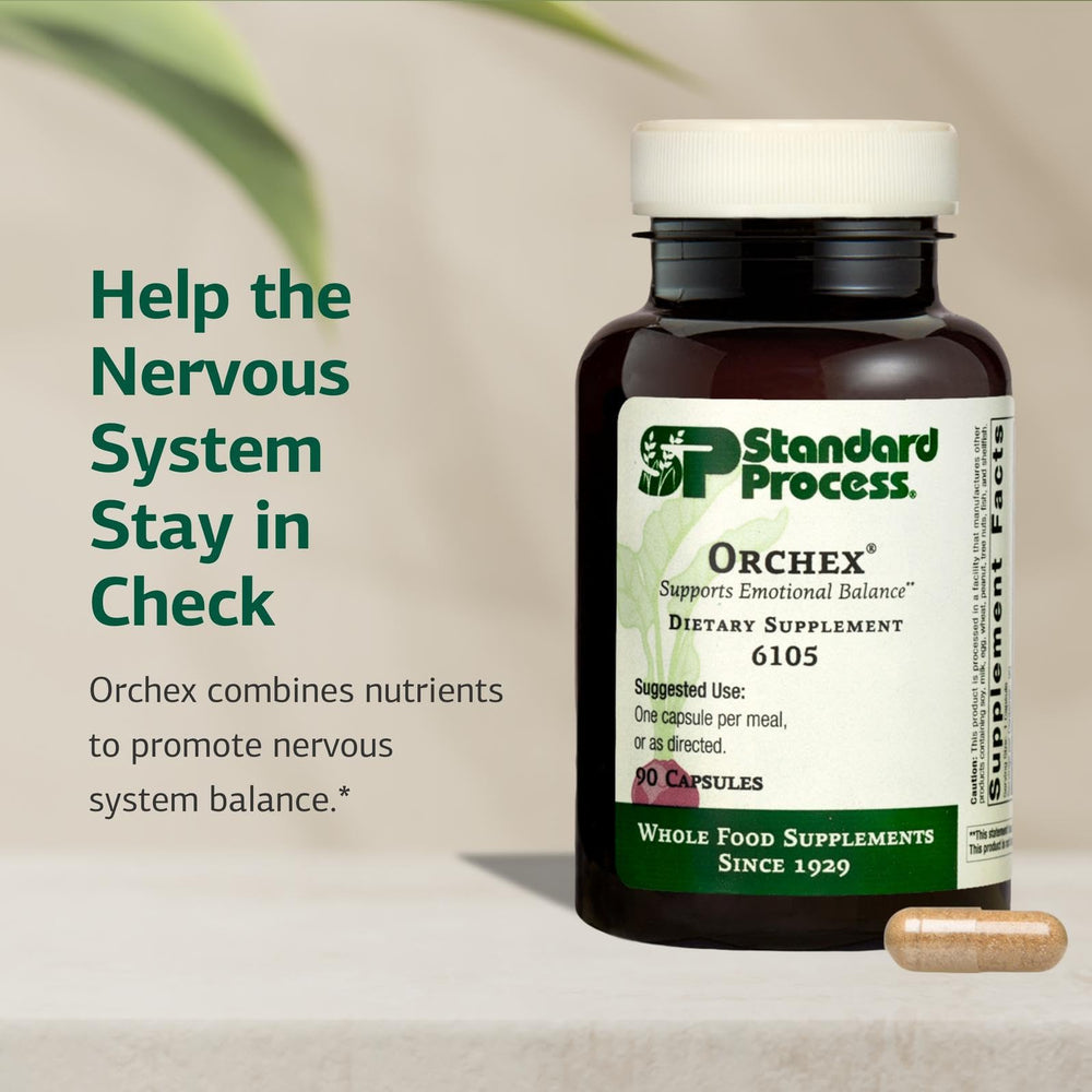 Orchex nervous system balance illustration indicating niacin and B6 support.