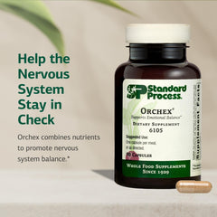 Orchex nervous system balance illustration indicating niacin and B6 support.