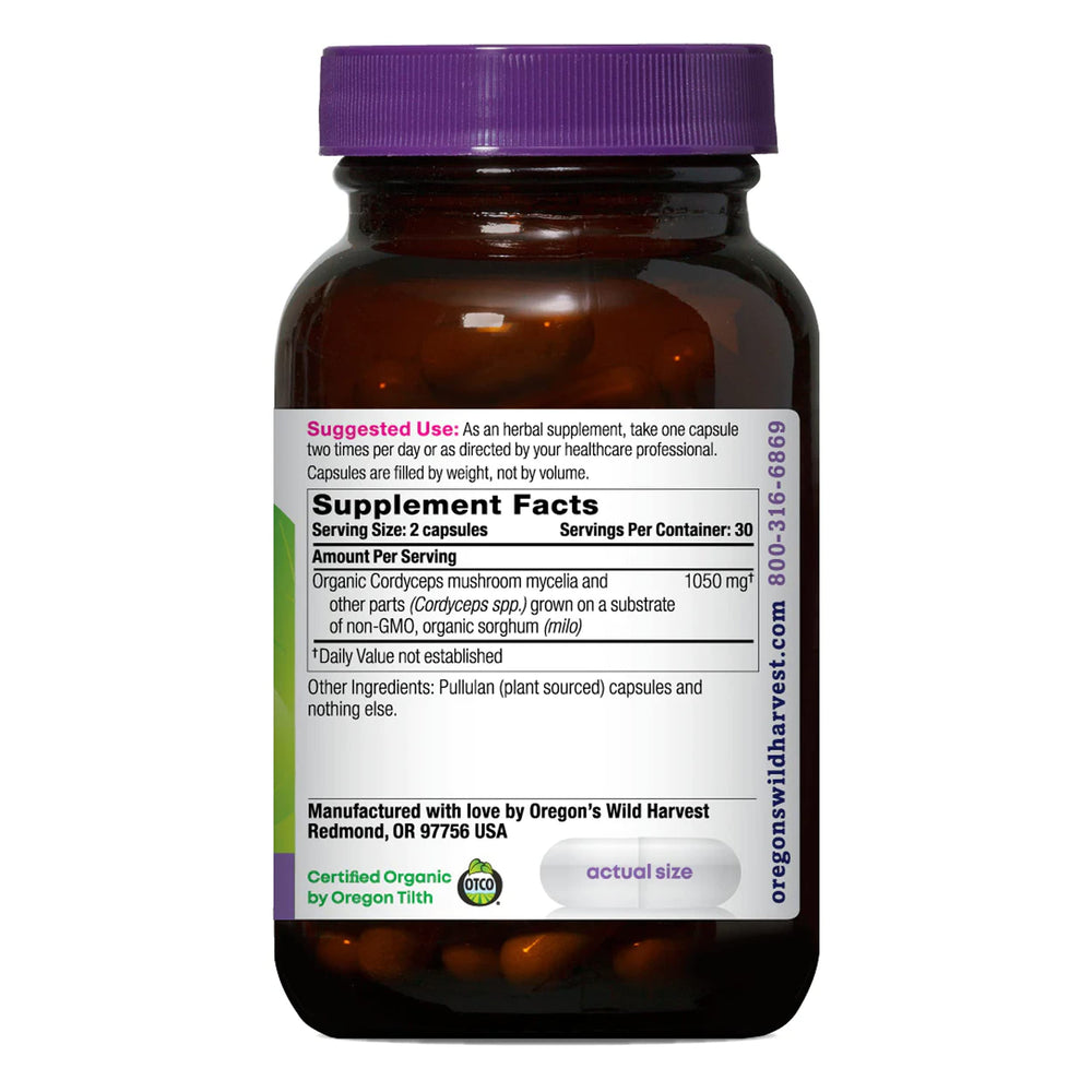 Cordyceps bottle back label details ingredients and usage