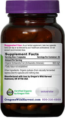 Close-up of Schisandra capsules for everyday focus.